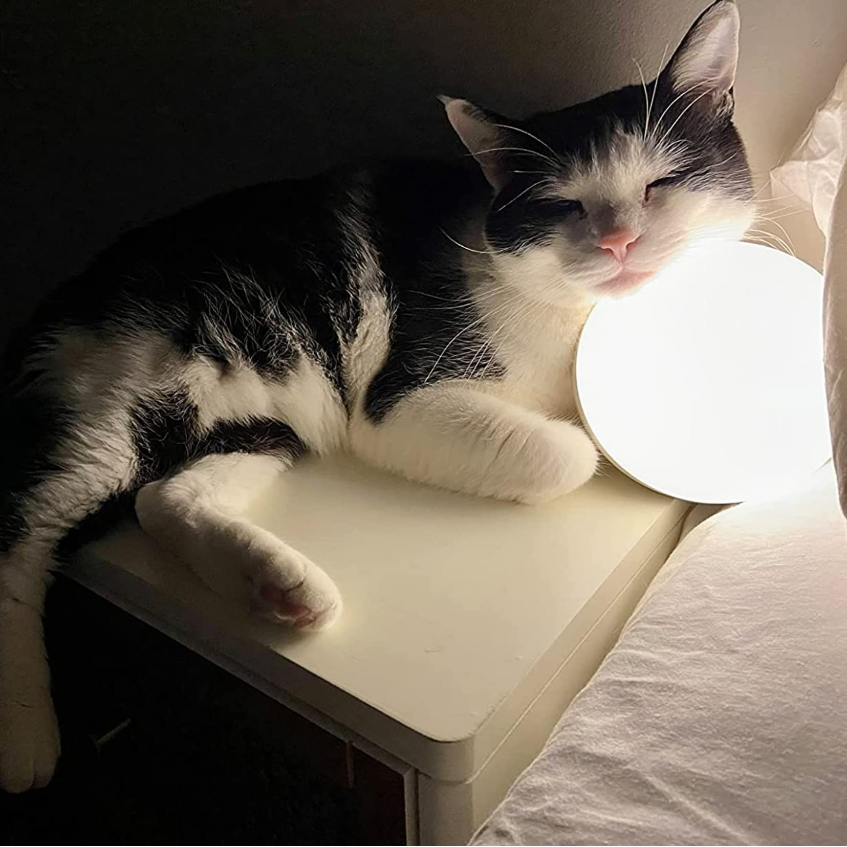 Smart LED Table Lamp – Dimmable Touch Desk Light with App & Voice Control, RGB Color Changing Night Lamp, Compatible with Alexa & Google Home (White)